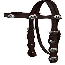 Double Stitched Leather Browband Headstall w/Silver Texas Star Conchos & Reins (Dark Brown)