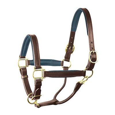 1" COB HAV/NAVY PADDED HALTER