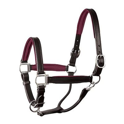 1" HRS BLK/BURG W/SS HARD PADDED HALTER