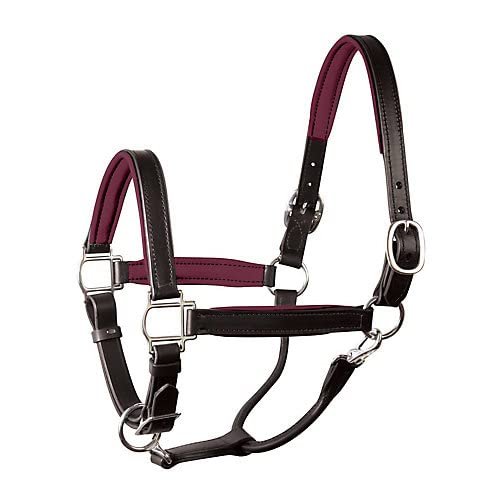 1" HRS BLK/BURG W/SS HARD PADDED HALTER