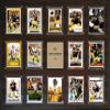 C&I Collectables NFL Pittsburgh Steelers Plaque, Brown, 16"x20" 162014ROETH view 1