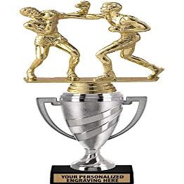 Boxing Trophy, 13.4" Silver Cup Boxing Award Trophies with Free Personalization, 5 Pack