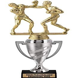 Boxing Trophy, 13.4" Silver Cup Boxing Award Trophies with Free Personalization, 5 Pack