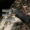 NewDoar Static Climbing Rope - 8mm (5/16c) / 10mm (3/8) Double Braid Accessory Cord for Rock,Hauling, Prusik, Survival - Pre-Cut 20FT, 50FT, 100FT, 165FT Lengths - Outdoor, Fire Rescue Equipment view 4