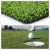 Putting Green Turf 5x71 ft, Versatile Golf Artificial Grass Indoor Outdoor view 1