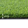 Putting Green Turf 5x71 ft, Versatile Golf Artificial Grass Indoor Outdoor view 3