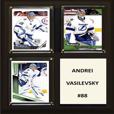 C&I Collectables NHL Tampa Bay Lightning Plaque, Brown, 8"x10"