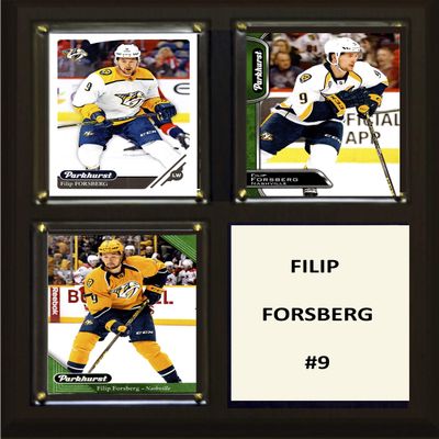 C&I Collectables NHL Nashville Predators Plaque, Brown, 8"x10"