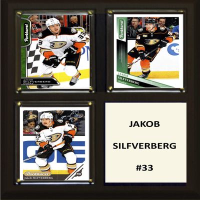 C&I Collectables NHL Anaheim Ducks Plaque, Brown, 8"x10"