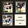 C&I Collectables NHL Anaheim Ducks Plaque, Brown, 8"x10" view 1