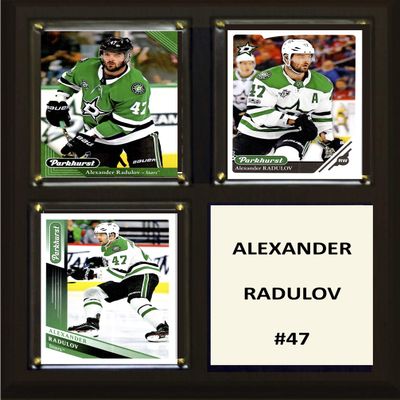 C&I Collectables NHL Dallas Stars Plaque, Brown, 8"x10"