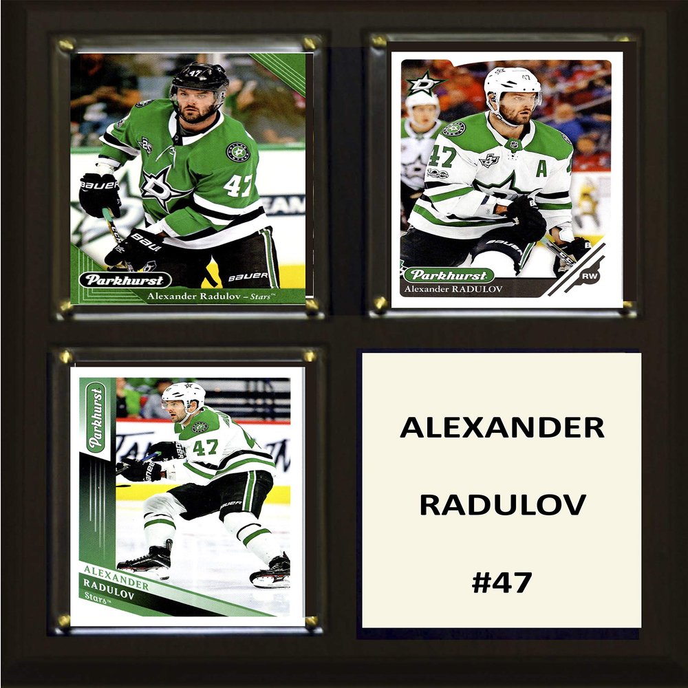 C&I Collectables NHL Dallas Stars Plaque, Brown, 8"x10"