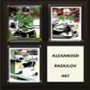 C&I Collectables NHL Dallas Stars Plaque, Brown, 8"x10" view 1