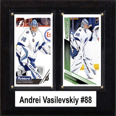 C & I Collectibles NHL 6"x8" Andrei Vasilevskiy Tampa Bay Lightning Two Card Plaque