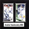 C & I Collectibles NHL 6"x8" Andrei Vasilevskiy Tampa Bay Lightning Two Card Plaque view 1