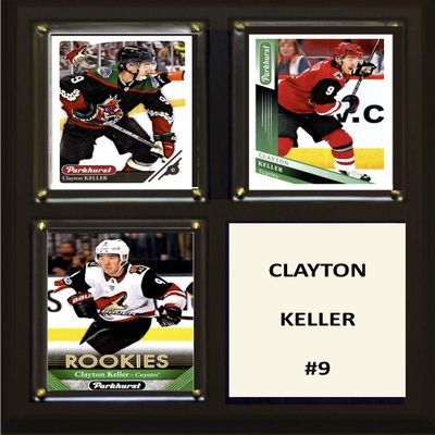 C&I Collectables NHL Arizona Coyotes Plaque, Brown, 8"x10"