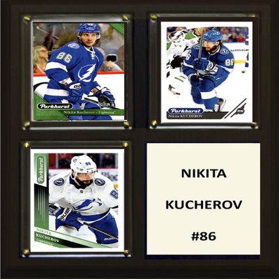 C&I Collectables NHL Tampa Bay Lightning Plaque, Brown, 8"x10"