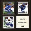 C&I Collectables NHL Tampa Bay Lightning Plaque, Brown, 8"x10" view 1