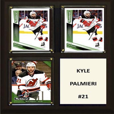 C&I Collectables NHL New Jersey Devils Plaque, Brown, 8"x10"