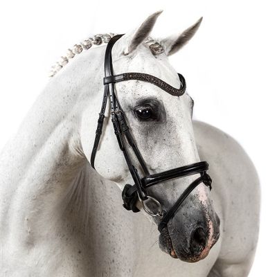 Flexible Fit Equestrian Black Snaffle Bridle 'Aurora' Cob