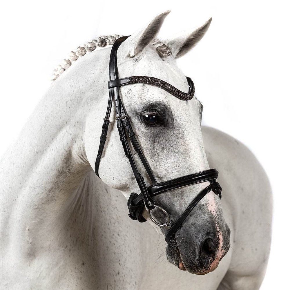 Flexible Fit Equestrian Black Snaffle Bridle 'Aurora' Cob