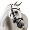 Flexible Fit Equestrian Black Snaffle Bridle 'Aurora' Cob view 1