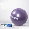 SH-PH Yoga Ball 25CM Small Ball Body Ball Gym Ball Children's Yoga Ball Plastic Hip Ball Hip Ball (Color : Purple) view 3