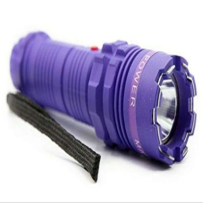 Cheetah Heavy Duty Stun Gun - High Powered Tactical Flash Light, Rechargeable Pocket Size Torch Best for Police and Emergency Situations (Purple)