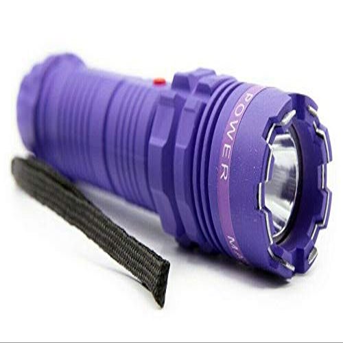 Cheetah Heavy Duty Stun Gun - High Powered Tactical Flash Light, Rechargeable Pocket Size Torch Best for Police and Emergency Situations (Purple)