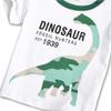 ACESTAR Toddler Boys Summer Cotton Clothes Sets Short Sleeve Tee Shirt and Short Set Kids Cartoon Dinosaur Printing Clothing Sets for Boy, Colorfull Dinosaur 5T view 3
