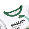 ACESTAR Toddler Boys Summer Cotton Clothes Sets Short Sleeve Tee Shirt and Short Set Kids Cartoon Dinosaur Printing Clothing Sets for Boy, Colorfull Dinosaur 6T view 2