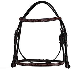 Grewal Equestrian Arnold IV Square Raised Hunter Bridle, English Horse Tack