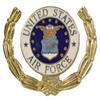 AIR FORCE WREATH LAPEL PIN OR HAT PIN - VETERAN OWNED BUSINESS view 1