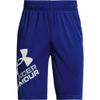 Under Armour boys Prototype 2.0 Logo Shorts , Royal Blue (400)/White , Youth Large view 1