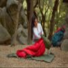 OmniCore Designs Mil-Spec 6-pc. Hooded Rectangular Modular Sleeping Bag System 30F to -30F view 4