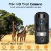 OUTDOOR EXPERT 20MP MINI Trail Camera,1080P Hunting Trail Camera with No Glow 940nm Night Vision Motion Activated IP66 Waterproof,80ft Illumination Range Hunting Game Cam for Wildlife Monitoring view 2
