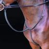 Rosano Standing Martingale (Extra Full, Havana) view 1