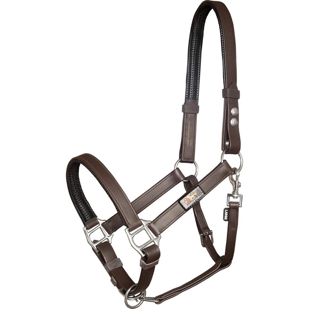 equilibrium Stellar Head Collar Small Brown