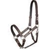 equilibrium Stellar Head Collar Small Brown view 1