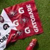 Gatorade San Francisco 49ers Towel view 3