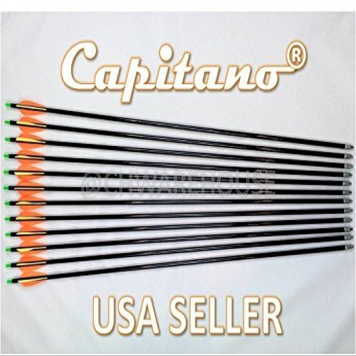 Raise Products Capitano 28-Inch Archery Fiberglass Target Practice Arrow Replaceable Screw-in Tips with Nocks and Fletches, 71CM (2 Dozen)
