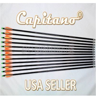 Raise Products Capitano 32-Inch Archery Fiberglass Target Practice Arrow Replaceable Screw-in Tips with Nocks and Fletches, 81CM (2 Dozen)