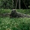 DoCred Ghillie Suit, 3D Camouflage Hunting Apparel 5 in 1 Ghillie Suit Including Jacket, Pants, Hood, Carry Bag, Camo Hunting Clothes for Men, Adults, Youth view 2