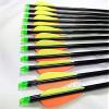 Raise Products Capitano 30-Inch Archery Fiberglass Target Practice Arrow Replaceable Screw-in Tips with Nocks and Fletches, 76CM (2 Dozen) view 2