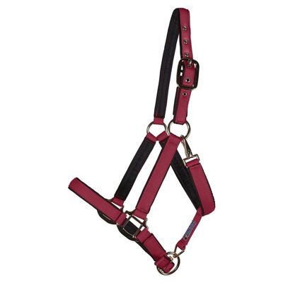 Dura-Tech Fully Padded Nylon Horse Halter | Horse Halter Designed Avoid Rubs | Adjustable Halter Horse Crown and Curb | 1 Double Ply Nylon | Halters for Horses | Cob Size | Color Burgundy