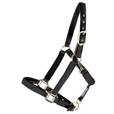 Dura-Tech Deluxe Fully Padded Breakaway Horse Halter | Cob Size - Black | 1 Double Ply Nylon Web Overlay | Heavy-Duty Hardware | Semi Custom Fit | 3-Point Cheek Attachment