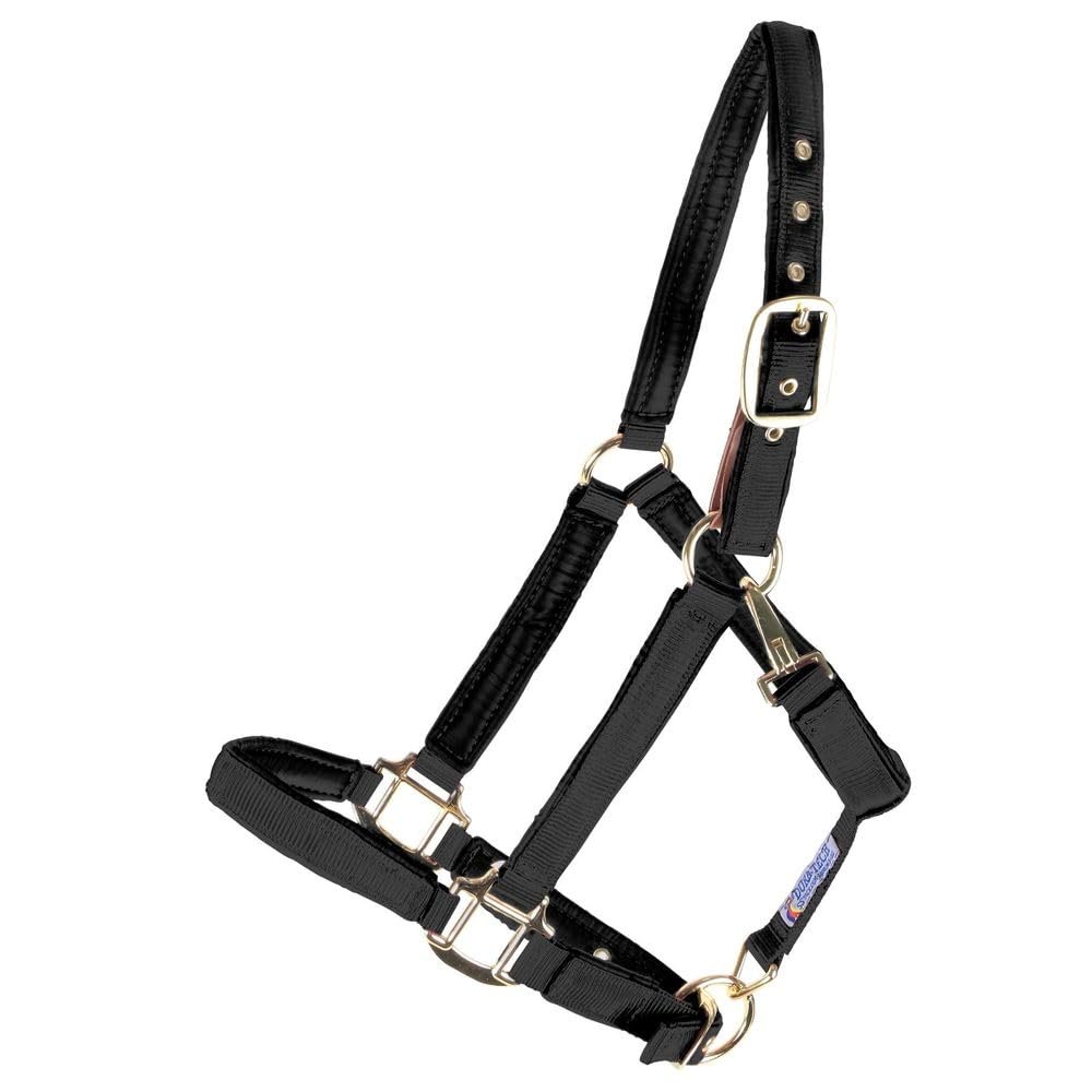 Dura-Tech Deluxe Fully Padded Breakaway Horse Halter | Cob Size - Black | 1 Double Ply Nylon Web Overlay | Heavy-Duty Hardware | Semi Custom Fit | 3-Point Cheek Attachment