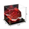 Better Display Cases Acrylic Basketball Shoe Pair Display Case with Mirror, Green Risers and Black Base (A082/V13) view 2