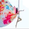 Aerial Silks 13 Yards Hardware Kit Medium stretch Aerial Yoga Hammock Acrobatics- Include Carabiners,Rescue 8,Swivel, Height Adjustment Strap, Portable Storage (Petal) view 1