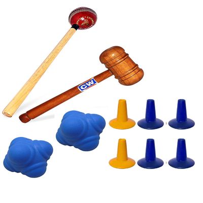CW Pro6 Training Aids Team Sports Cricket Accessories Set USA